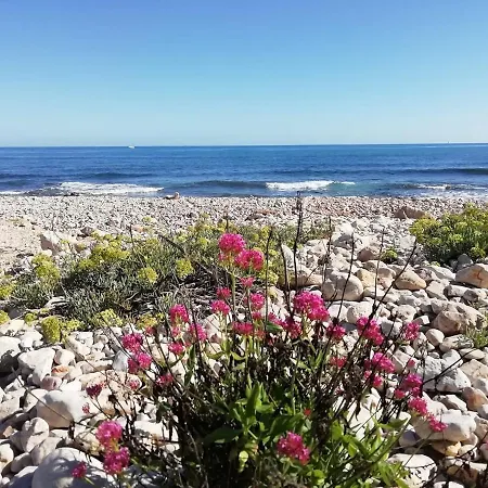 公寓 Playa Montanas Y Mucho Mas